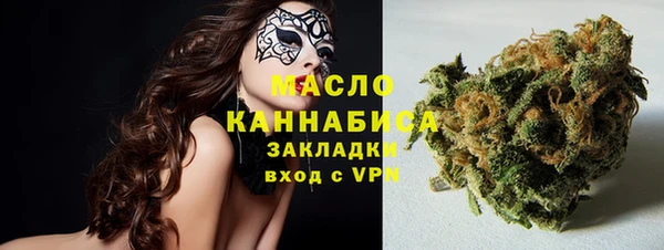 гашик Вяземский