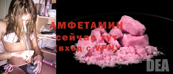 гашик Вяземский