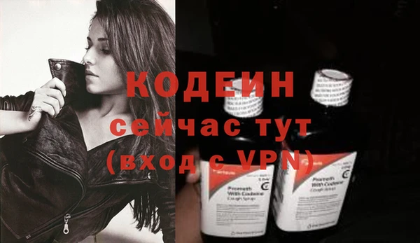гашик Вяземский