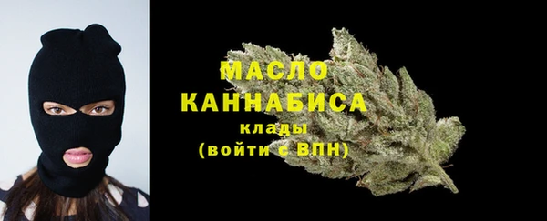 гашик Вяземский