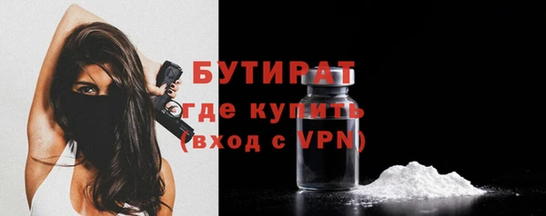 гашик Вяземский