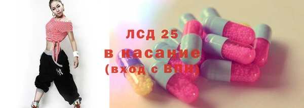 гашик Вяземский