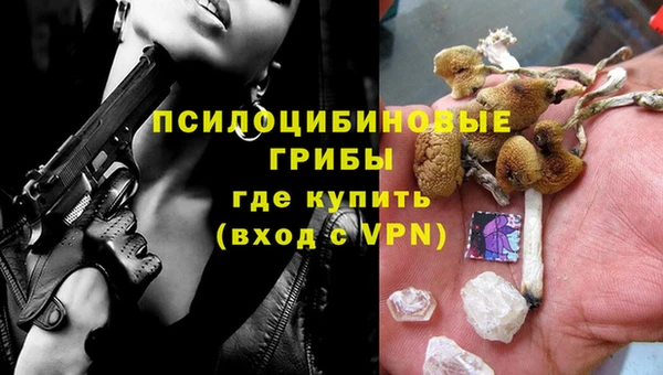гашик Вяземский