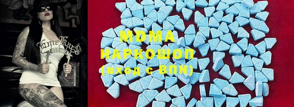 гашик Вяземский
