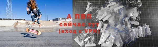 гашик Вяземский